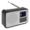 PARMA Radio FM DAB+ cu baterii, 5V, 15W, Bluetooth, argintiu, Audizio